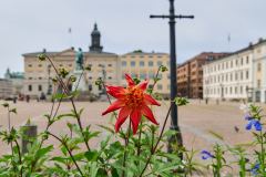 Gustav Adolfs Torg